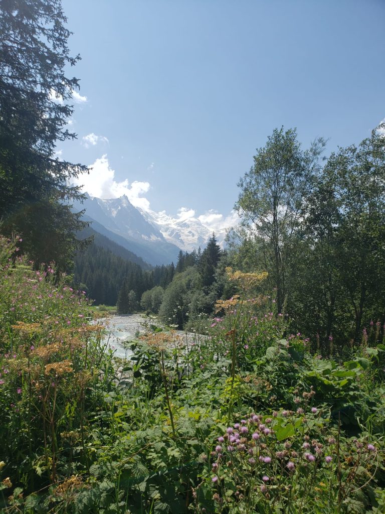 IMG-20240812-WA0076