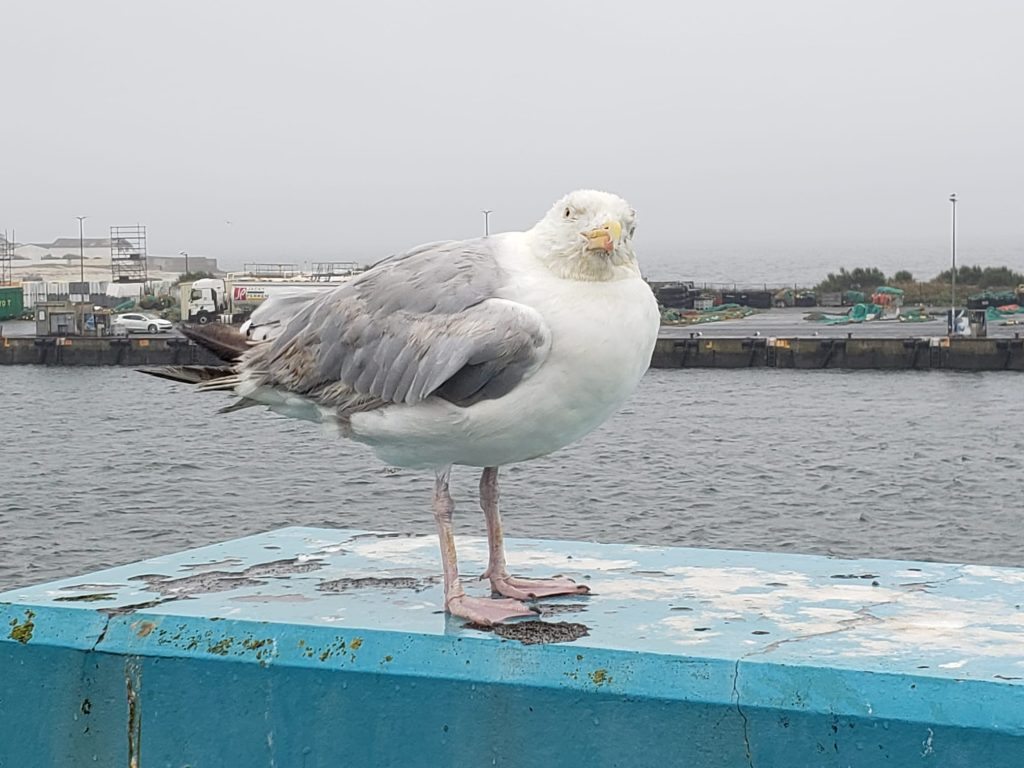IMG-20240823-WA0019